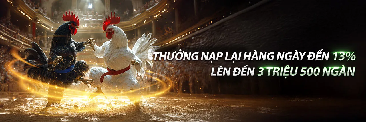 Trường Gà Savan trực tiếp hôm nay